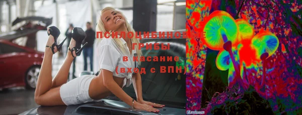 гидра Абаза