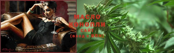 гидра Абаза