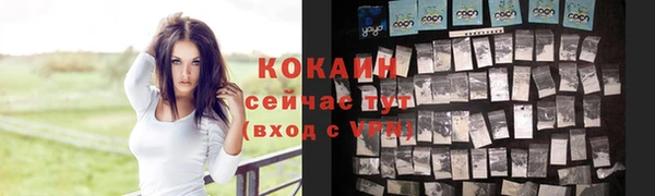 гидра Абаза