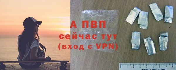 гидра Абаза